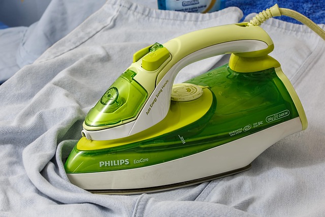 steam clean carpet service