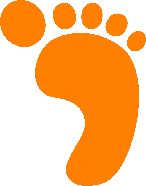 Step-by-Step Schema