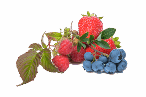 Unwinding with Strawberry Rosin Gummies: Exploring Nature’s Calm