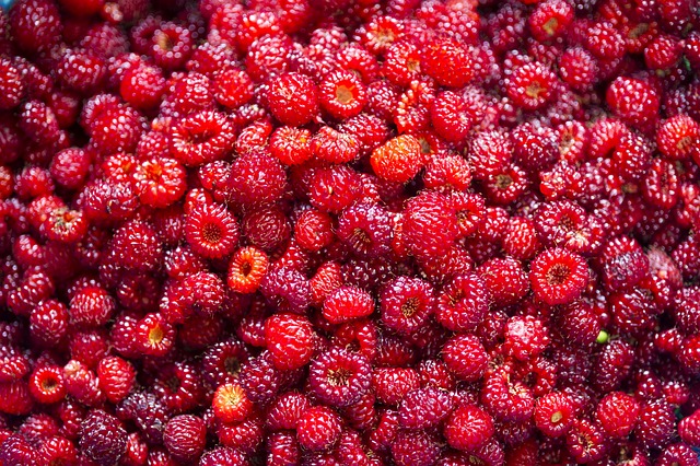 Strawberry Rosin Gummies