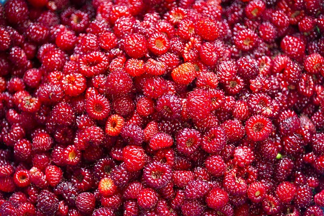 Strawberry Rosin Gummies