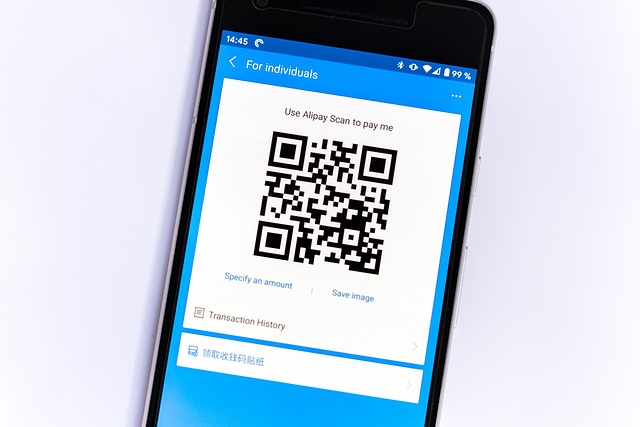 support payment mediation