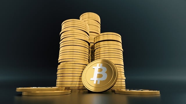 support payment mediation