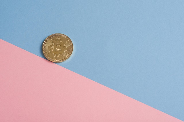 support payment mediation