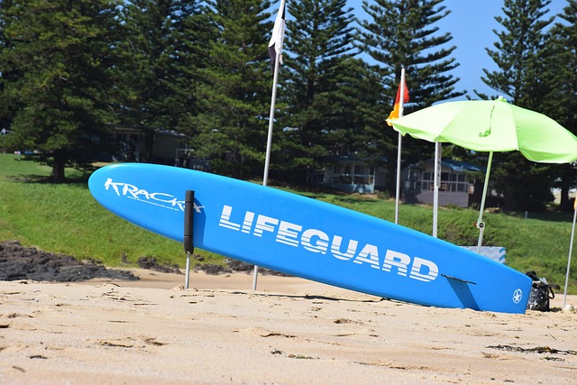 surfboard for beginners