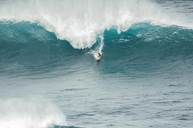 surfboard for beginners