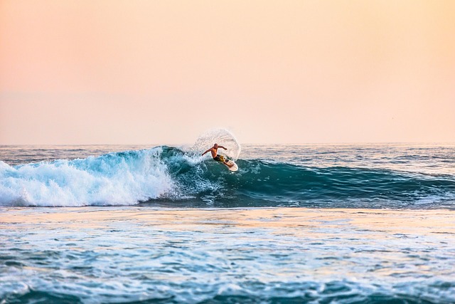 surfboard for beginners