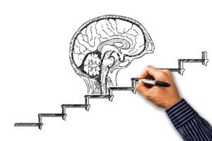 Unleash Your Website’s Potential: Comprehensive Technical SEO Training