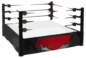 No-Gi Grappling in Tempe: A Student’s Guide to Combat Sports Training