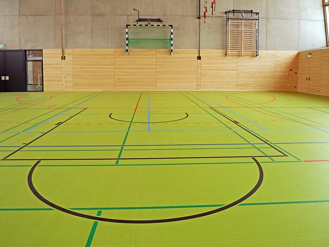 Tempe dojo gym