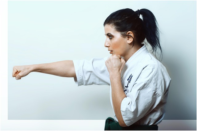 Tempe dojo gym