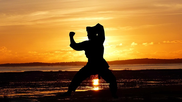Tempe mixed martial arts center