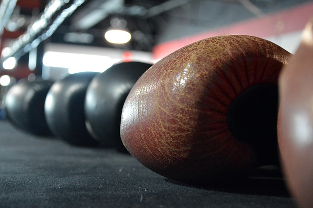 Tempe pro fight training