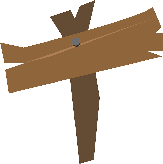 Tempe submission basics