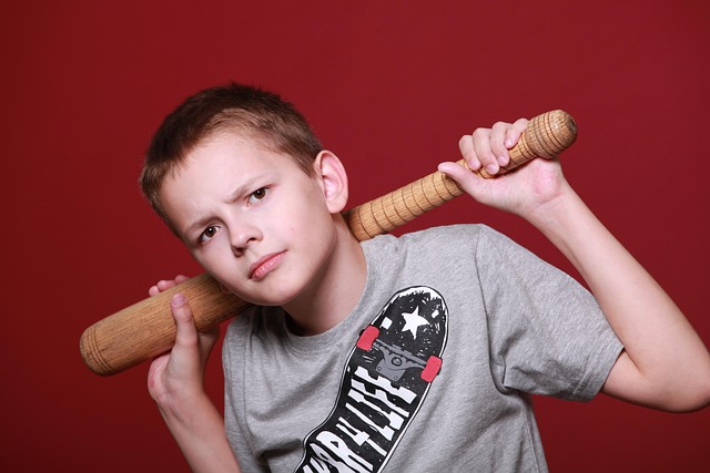 Tempe teen MMA