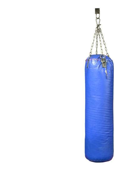 Thai boxing classes AZ