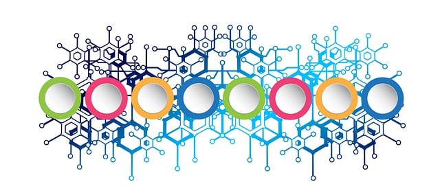 top web development company