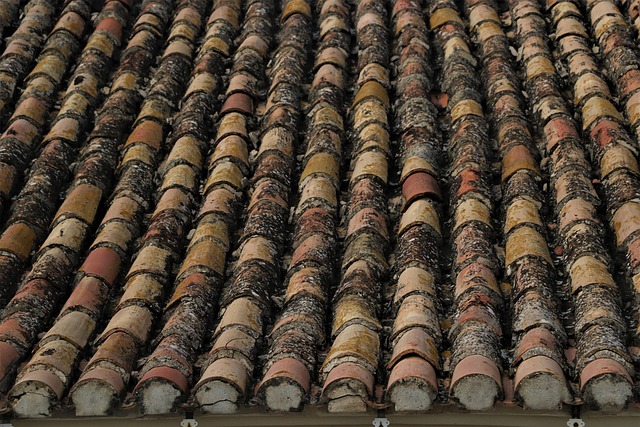 TPO roofing
