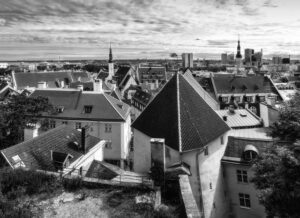 TPO Roofing Services: Efficiency, Durability, and Future-Proofing for Businesses