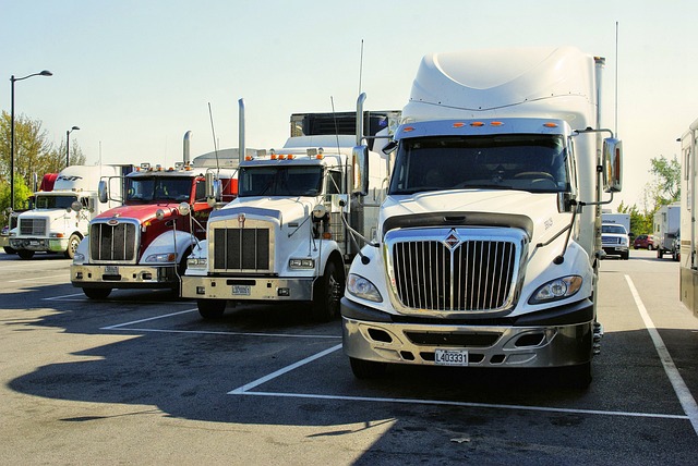 truck system carpet cleaners