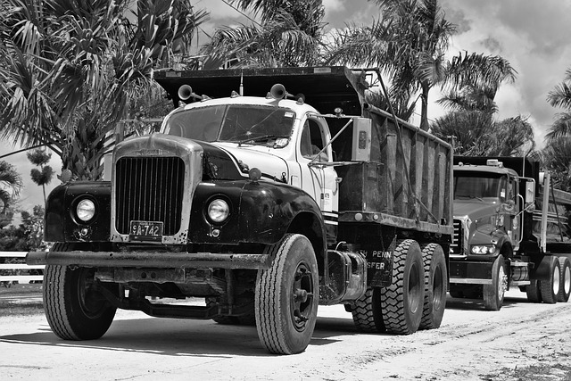 truck system carpet cleaners