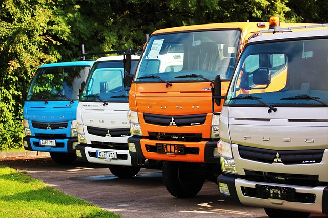 truck system carpet cleaners