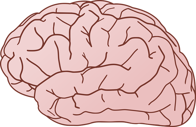 Understanding the Endocannabinoid System
