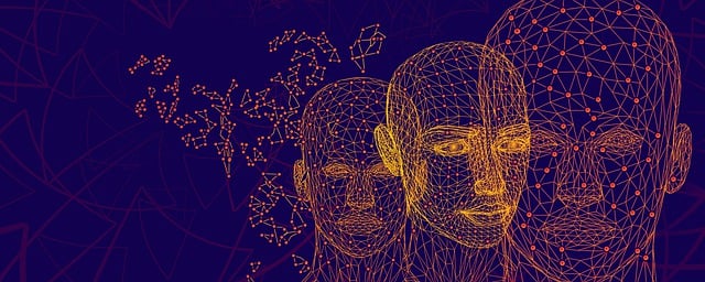 Understanding the Endocannabinoid System