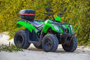 Unveiling Comprehensive Vehicle Coverage: Navigating Options & Savings