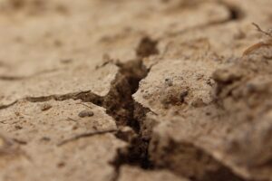 Remote Divorce Mediation: Navigating Sensitive Issues with Virtual Support