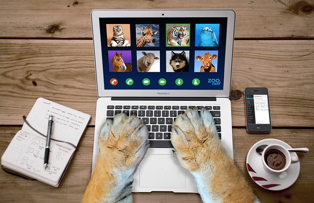 virtual desktop for accountants