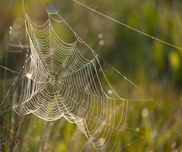 web maintenance and redesign solutions