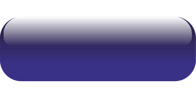 WebSite JSON-LD