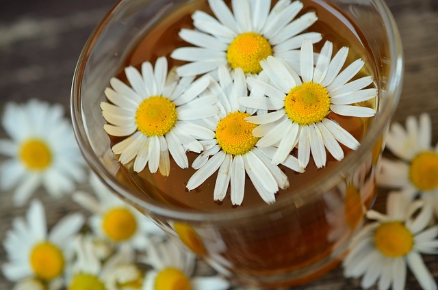 wellness and acupuncture Austin