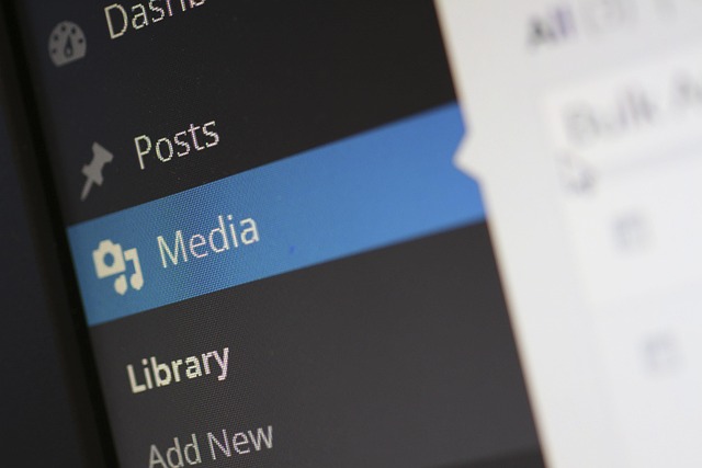 WordPress linking plugin for WordPress