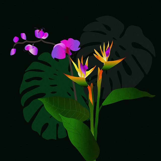 WP theme design services