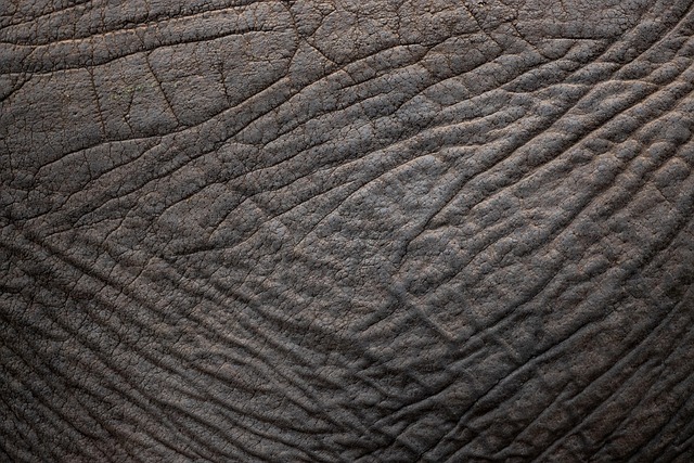 Wrinkle Reduction