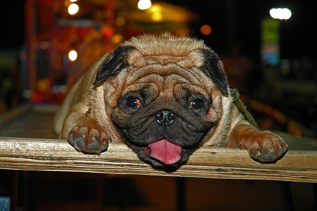 Wrinkle Reduction