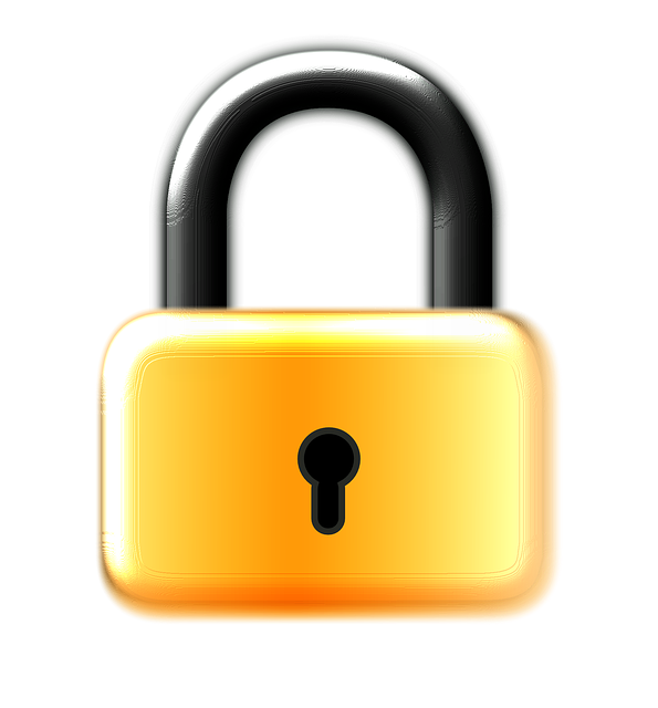 Xero cloud access