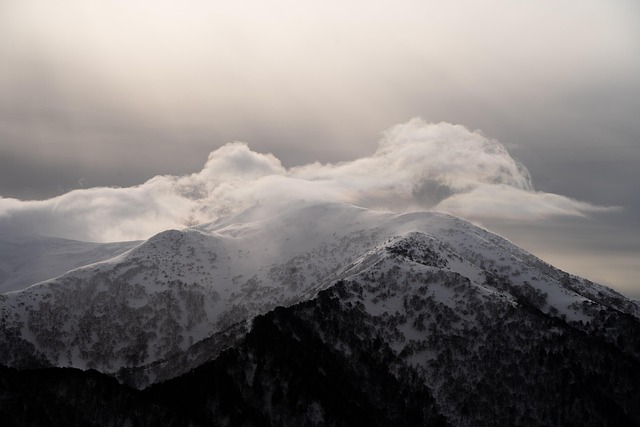 Xero cloud access