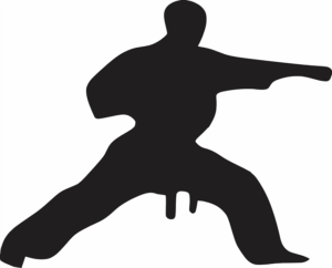 Youth Self-Defense Classes in Tempe: Navigating Options for Confident Growth