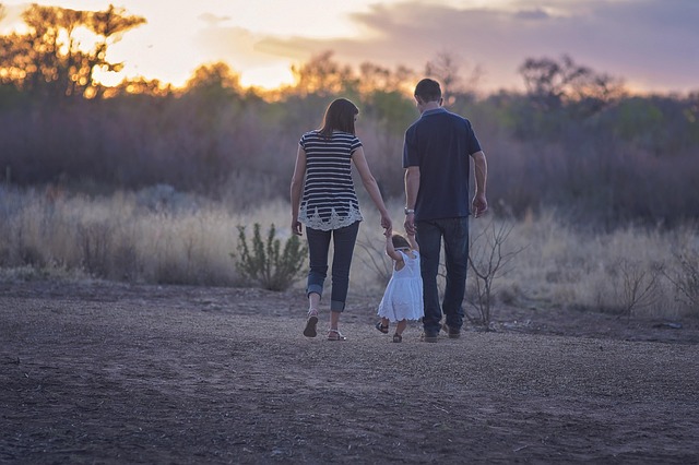 Zoom-based family mediator