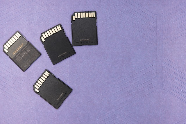 accounting data backup