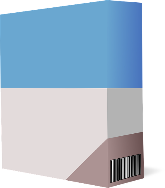 accounting software IT