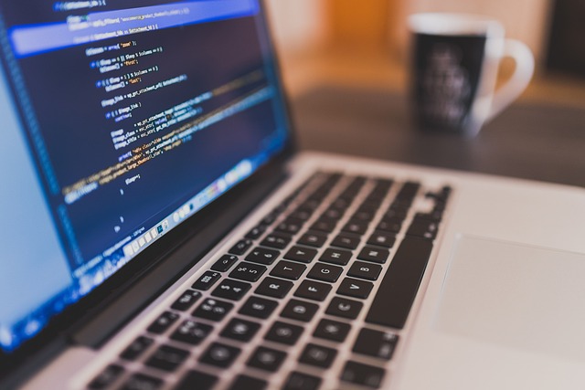 accounting software IT