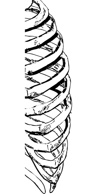 accounting system health