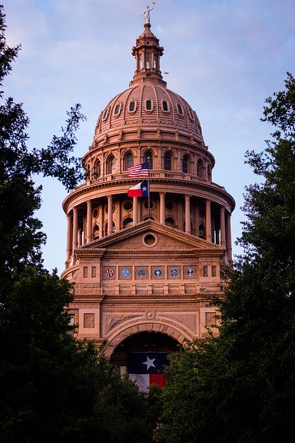 Unwind in Austin: Best Acupuncture for Holistic Pain & Stress Relief