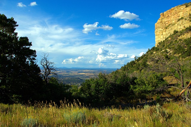 addiction recovery Mesa