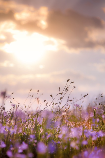 aesthetic clinic liability insurance