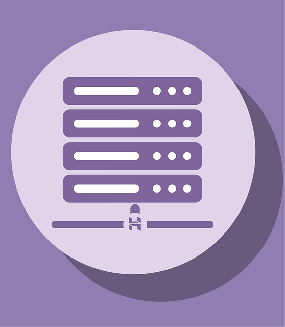 Affordable small business web design